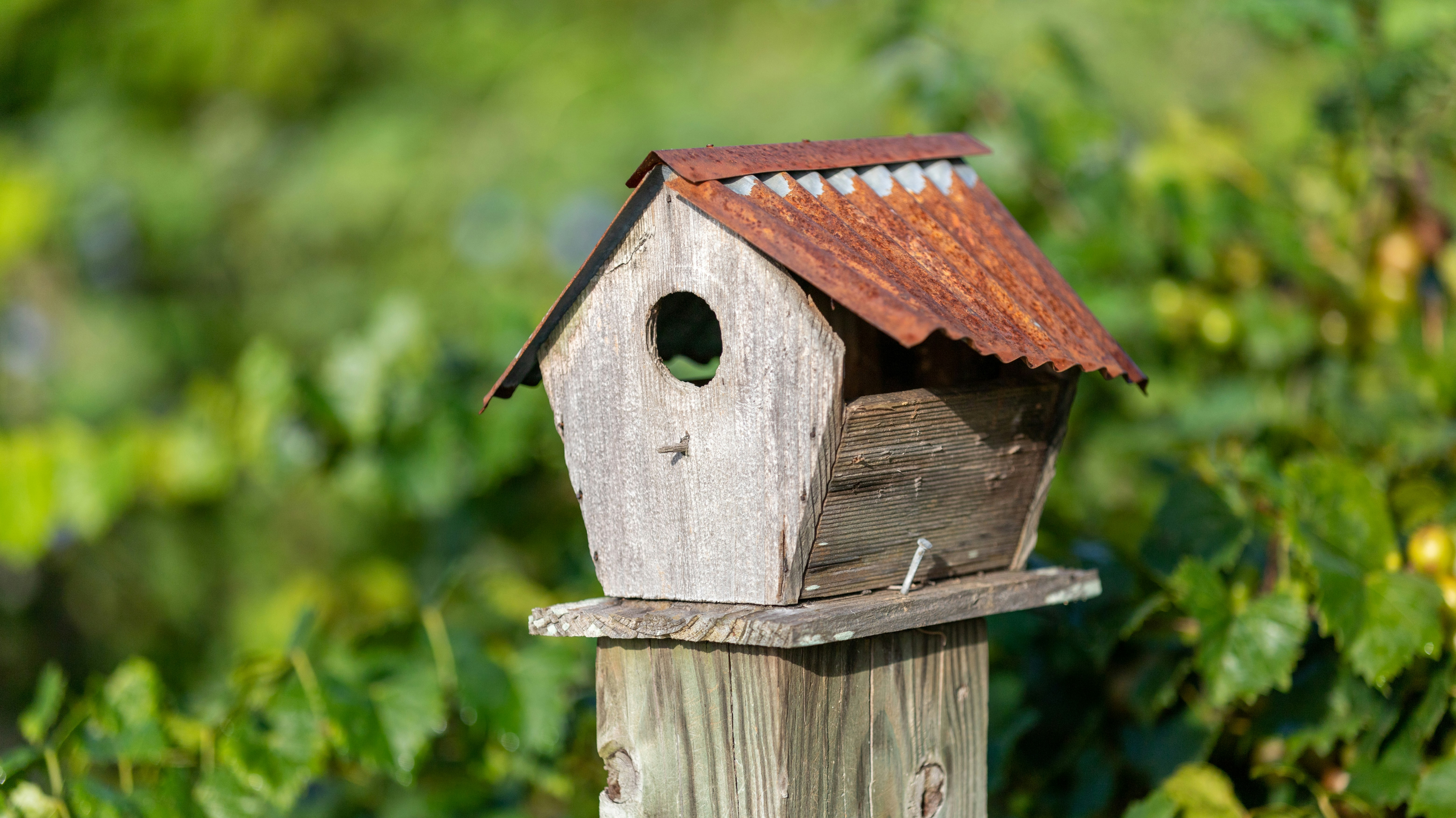 8e61fa5f2d3a48ab07c5611e5b2de90998a0a340