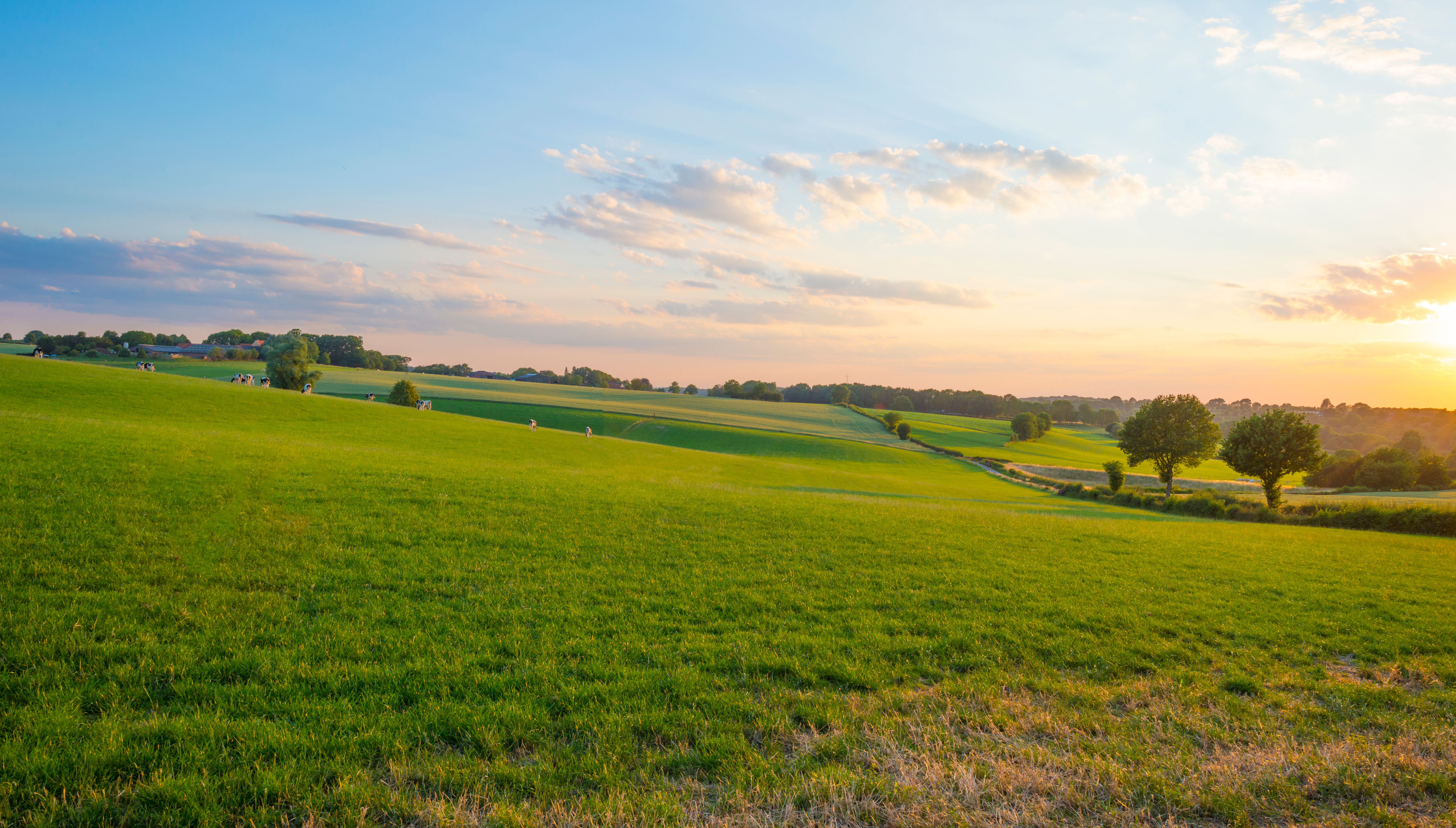 Villadim Aménagement