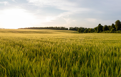 Le Clos de ker Nevez 